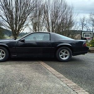 Meet your Posher, Randall